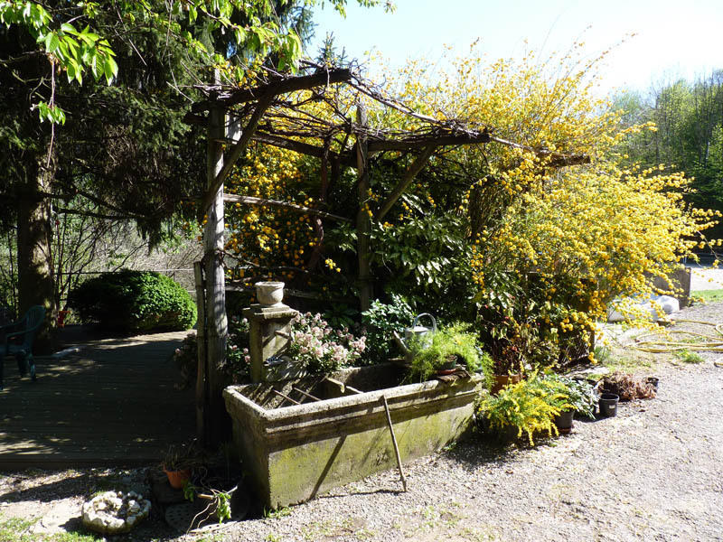 Saint-Léger Domaine De La Safraniere - Chambre D'Hote المظهر الخارجي الصورة