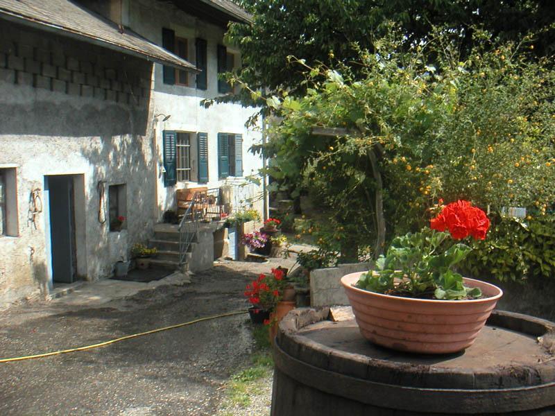 Saint-Léger Domaine De La Safraniere - Chambre D'Hote المظهر الخارجي الصورة