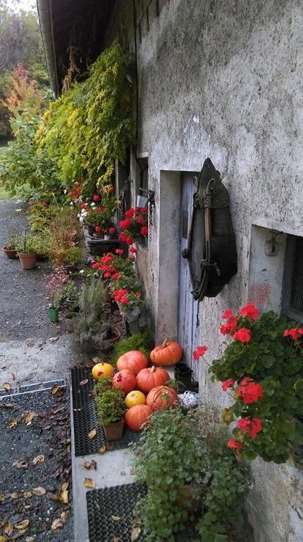 Saint-Léger Domaine De La Safraniere - Chambre D'Hote المظهر الخارجي الصورة
